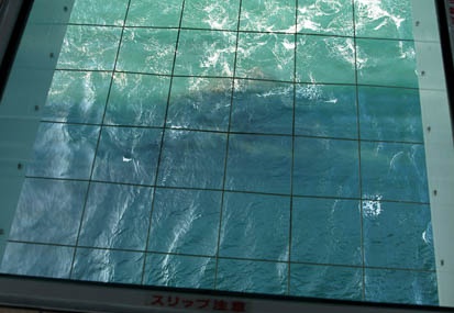 201009221500-DSC05049.jpg