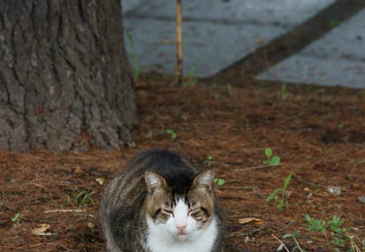 201009301504-DSC05680.jpg