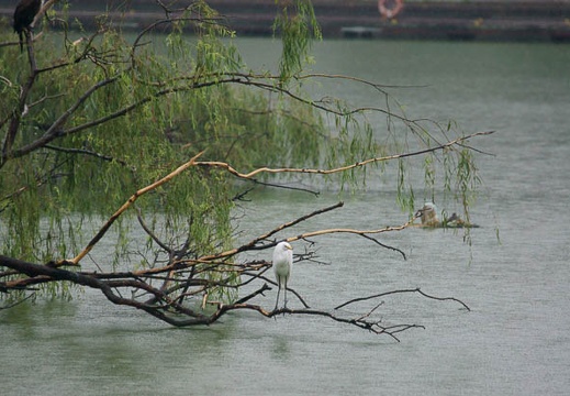 201009301518-DSC05707.jpg
