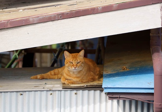 201010030938-DSC06122.jpg