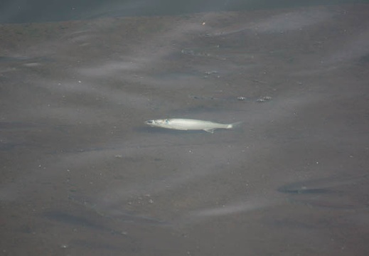 201010031030-DSC06206.jpg