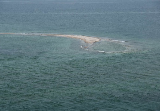201010051427-DSC06398.jpg