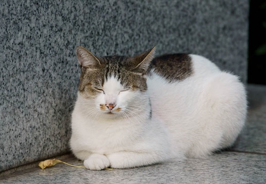 201010051646-DSC06564.jpg