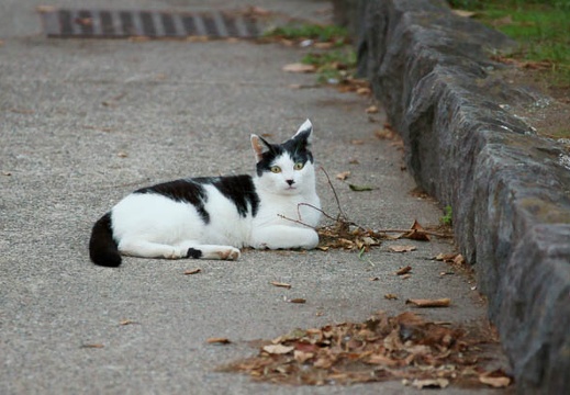 201010051718-DSC06622.jpg