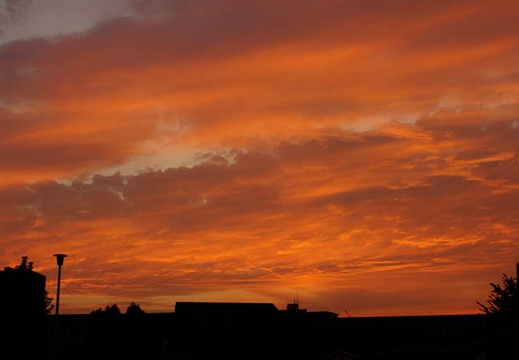 201010051725-DSC06629.jpg
