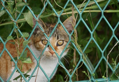 201010071304-DSC06754.jpg