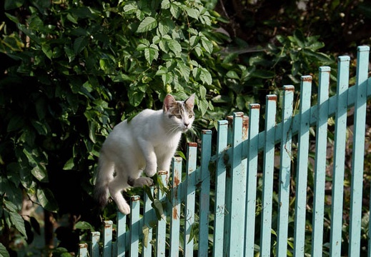 201010071354-DSC06834.jpg