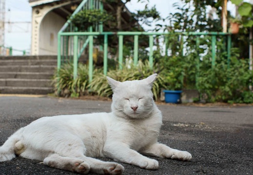 201010121214-DSC07756.jpg