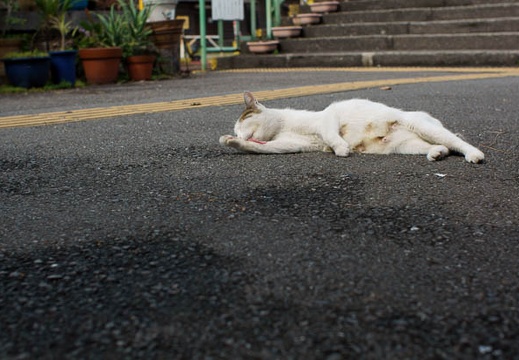 201010121215-DSC07759.jpg