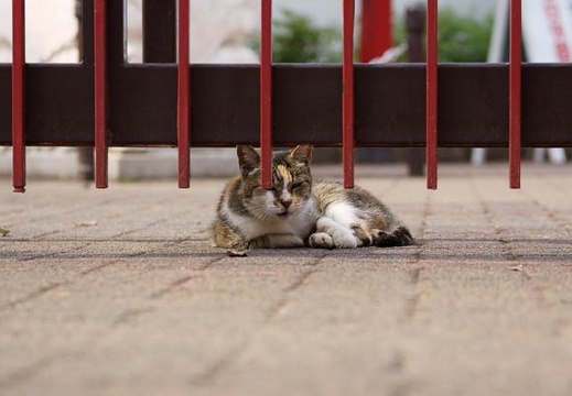 201010121331-DSC07990.jpg