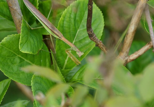 201010121502-DSC08091.jpg