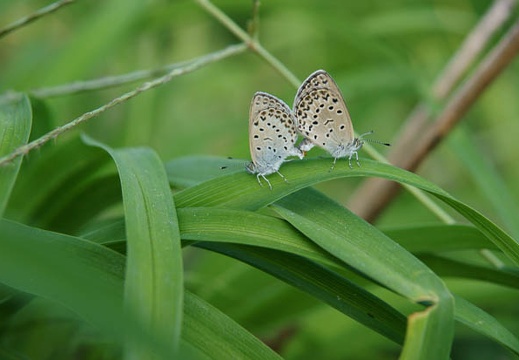 201010141417-DSC08701.jpg
