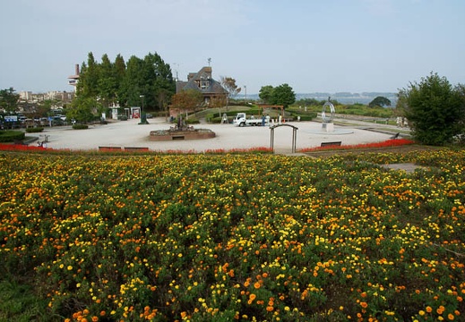 201010141431-DSC08726.jpg