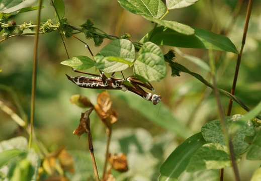 201010151400-DSC09147.jpg