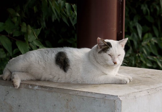 201010171415-DSC09415.jpg