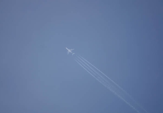 201010171552-DSC09550.jpg