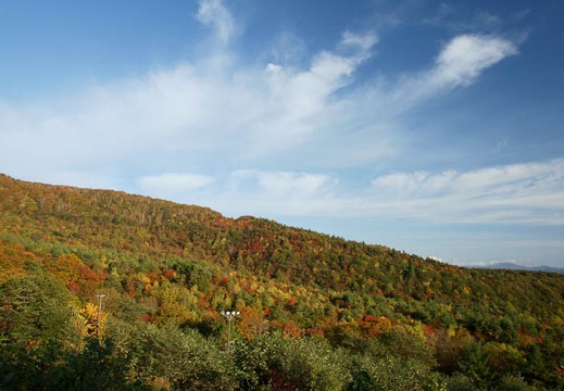 201010180656-DSC09620.jpg
