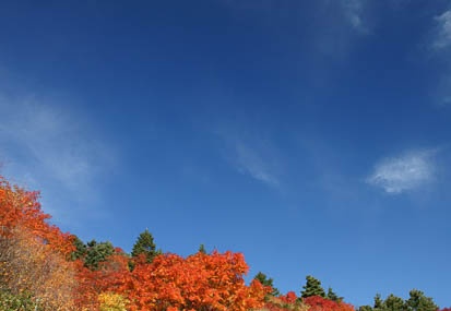 201010180800-DSC09708.jpg