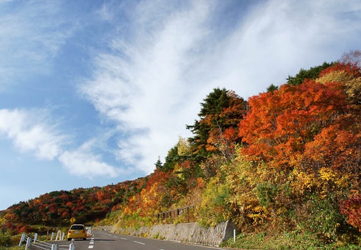 201010180802-DSC09711.jpg