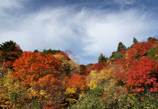 201010180802-DSC09712.jpg