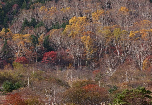 201010180851-DSC09793.jpg