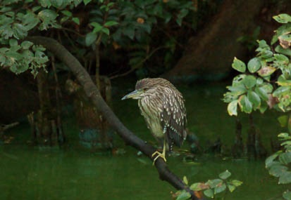 201010211414-DSC00307.jpg