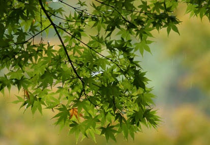 201010211458-DSC00394.jpg