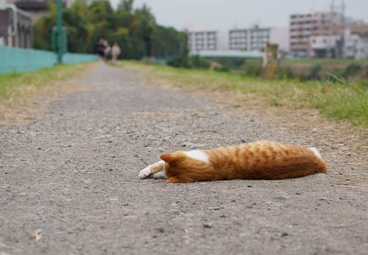 201010241222-DSC00641.jpg