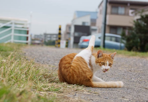 201010241223-DSC00646.jpg