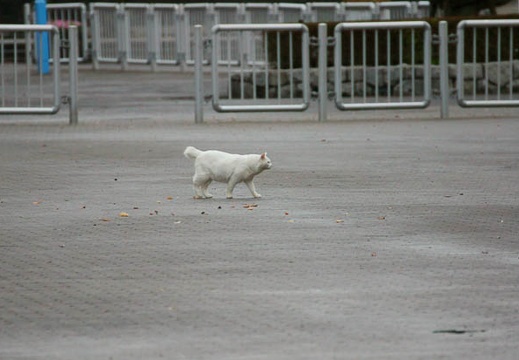 201010261608-DSC01614.jpg