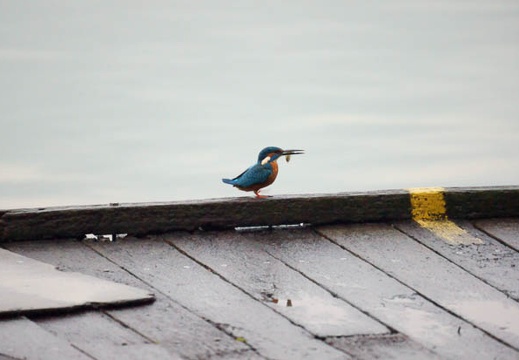 201010261617-DSC01630.jpg