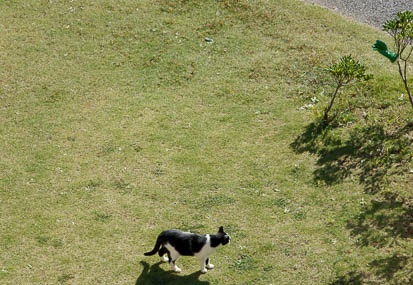 201010271018-DSC02005.jpg