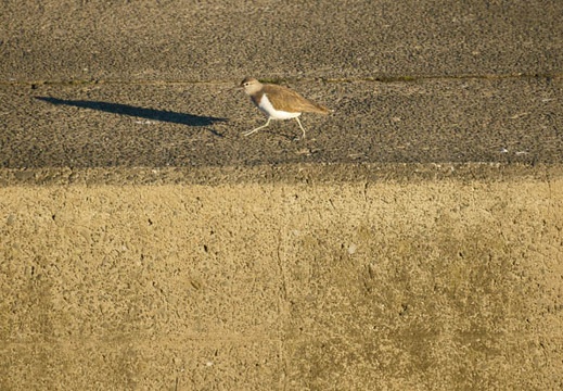 201011011544-DSC02871.jpg