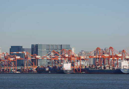 201011020911-DSC03019.jpg