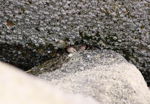 201011021009-DSC03102.jpg