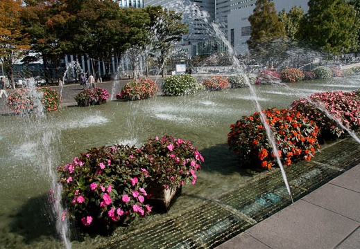 201011021229-DSC03244.jpg
