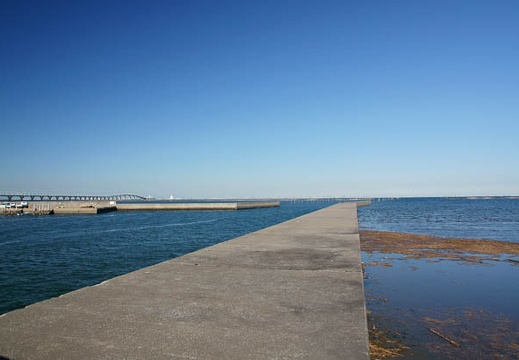 201011030932-DSC03497.jpg