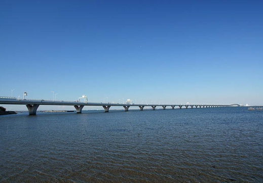201011030937-DSC03500.jpg