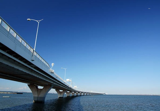 201011030947-DSC03519.jpg