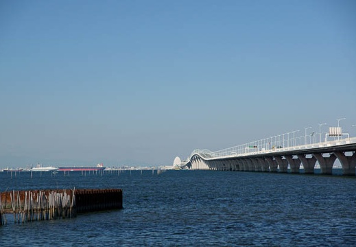 201011030957-DSC03537.jpg