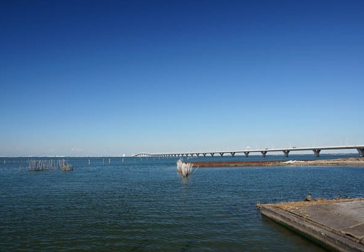 201011031017-DSC03592.jpg