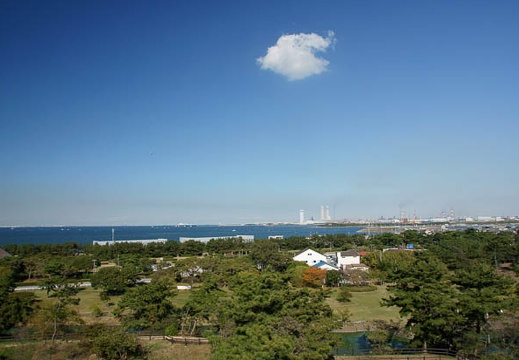 201011031257-DSC03886.jpg