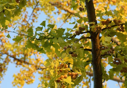 201011041615-DSC04146.jpg