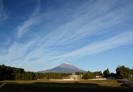 201011050651-DSC04233.jpg