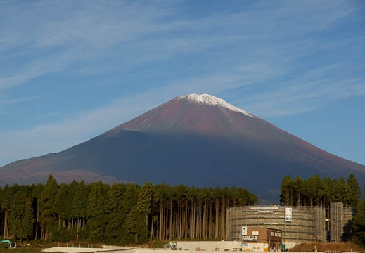 201011050655-DSC04239.jpg
