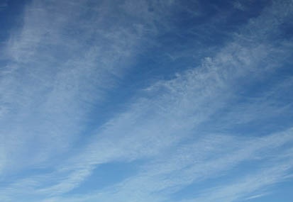 201011050657-DSC04241.jpg