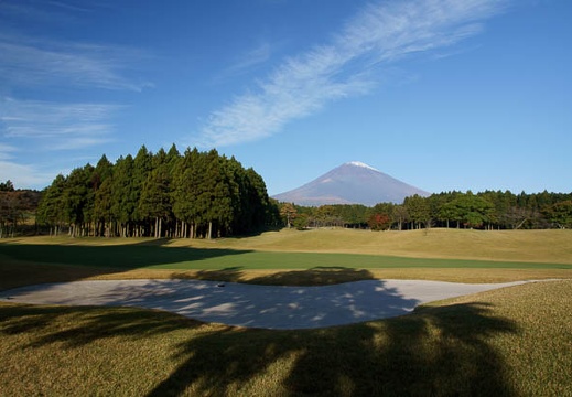 201011050743-DSC04271.jpg