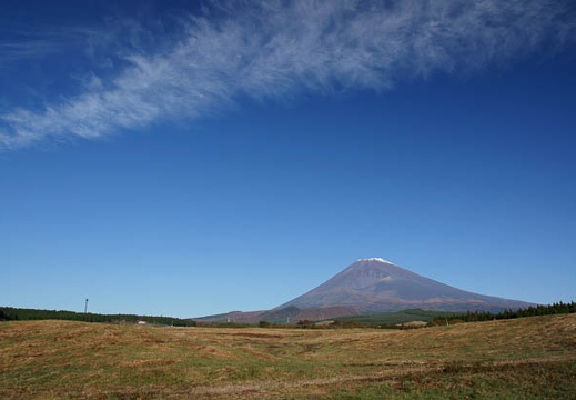 201011050758-DSC04273.jpg