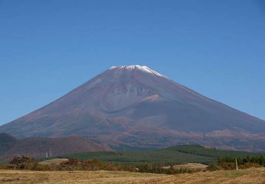 201011050759-DSC04278.jpg