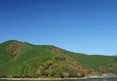 201011050927-DSC04381.jpg